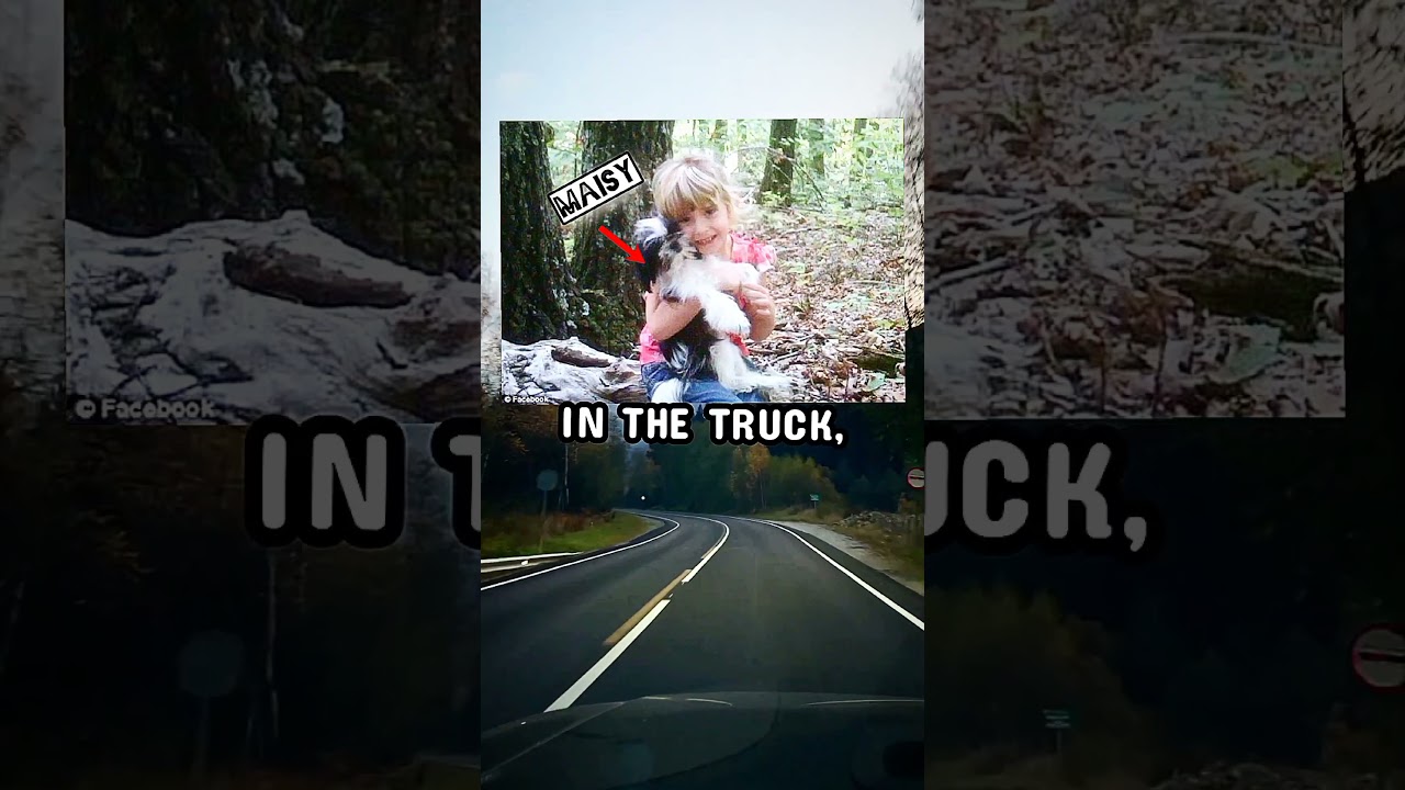 The Vanishing Jamison Family Mystery 🚗