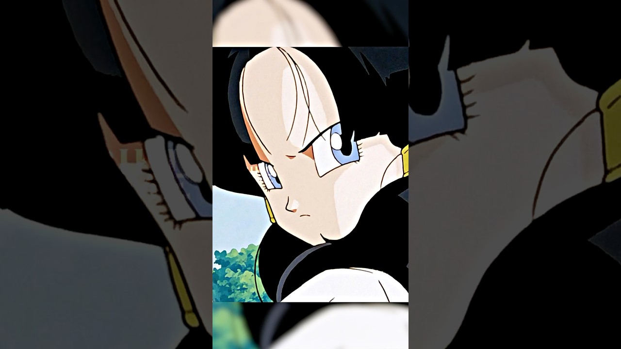 Videl Meets Chi-Chi For The First Time😂