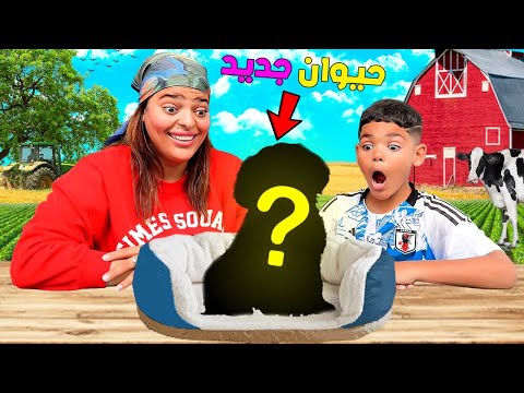 اخيرا..اشتريت حيوان جديد🐸ليعيش معنا فالمزرعة🐔وبدون علم العائلة😱( صرفت 3.000 دولار 🤑)