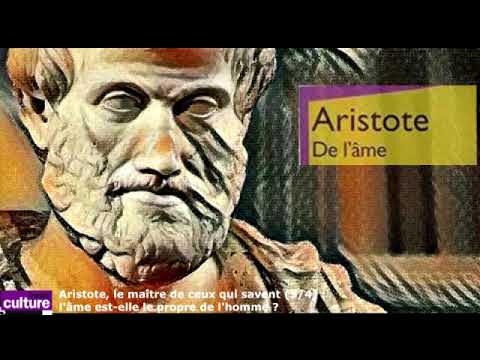 Aristote et l'âme humaine : un regard philosophique