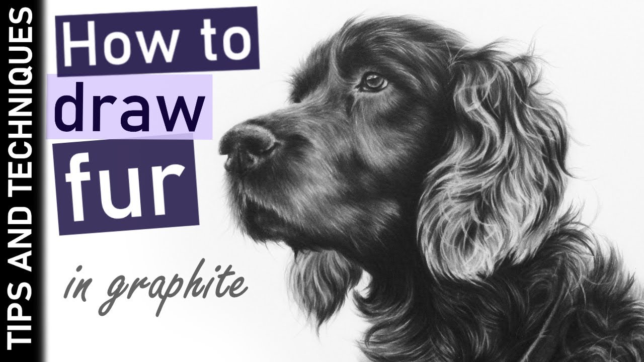 Graphite Fur Drawing Guide 🐶
