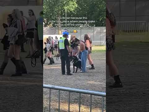 The things you see at UK festivals 🇬🇧 #housemusic #edm #rave #housemusiclovers #musicfestival