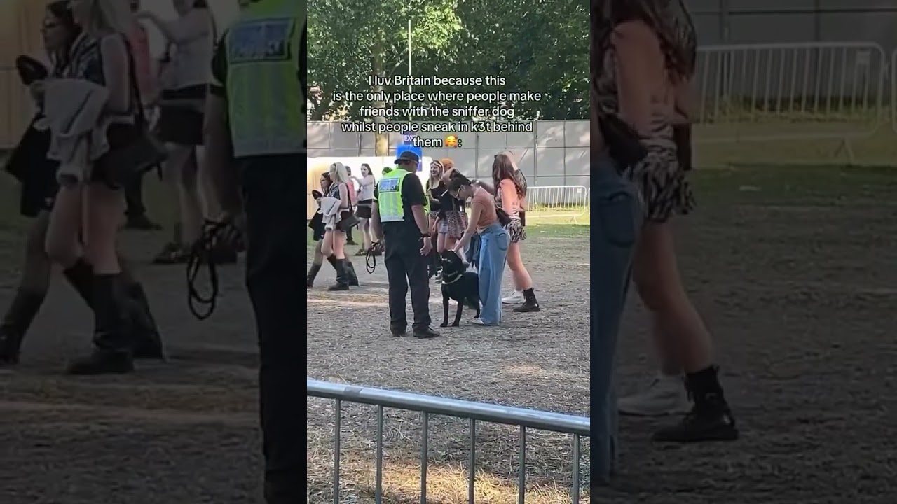 UK Festival Vibes 🇬🇧: House, EDM & Raves