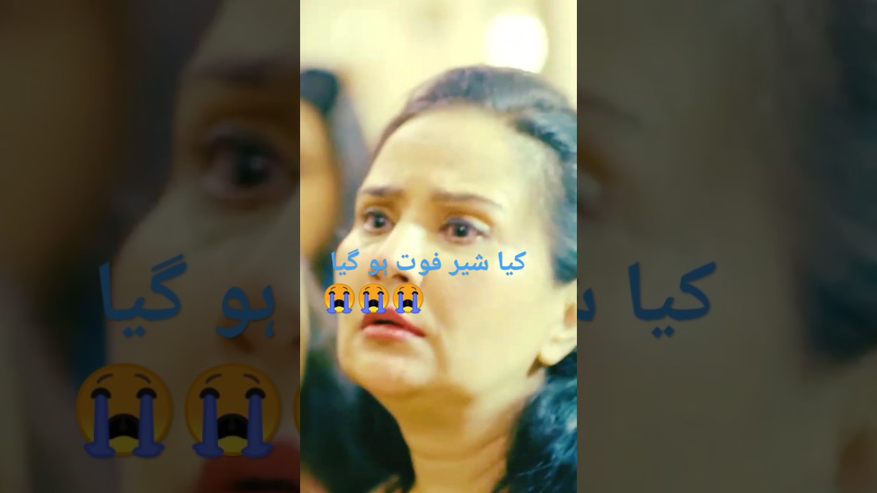 Sher Episode 9 Teaser | Danish Taimoor & Sarah Khan 🎬