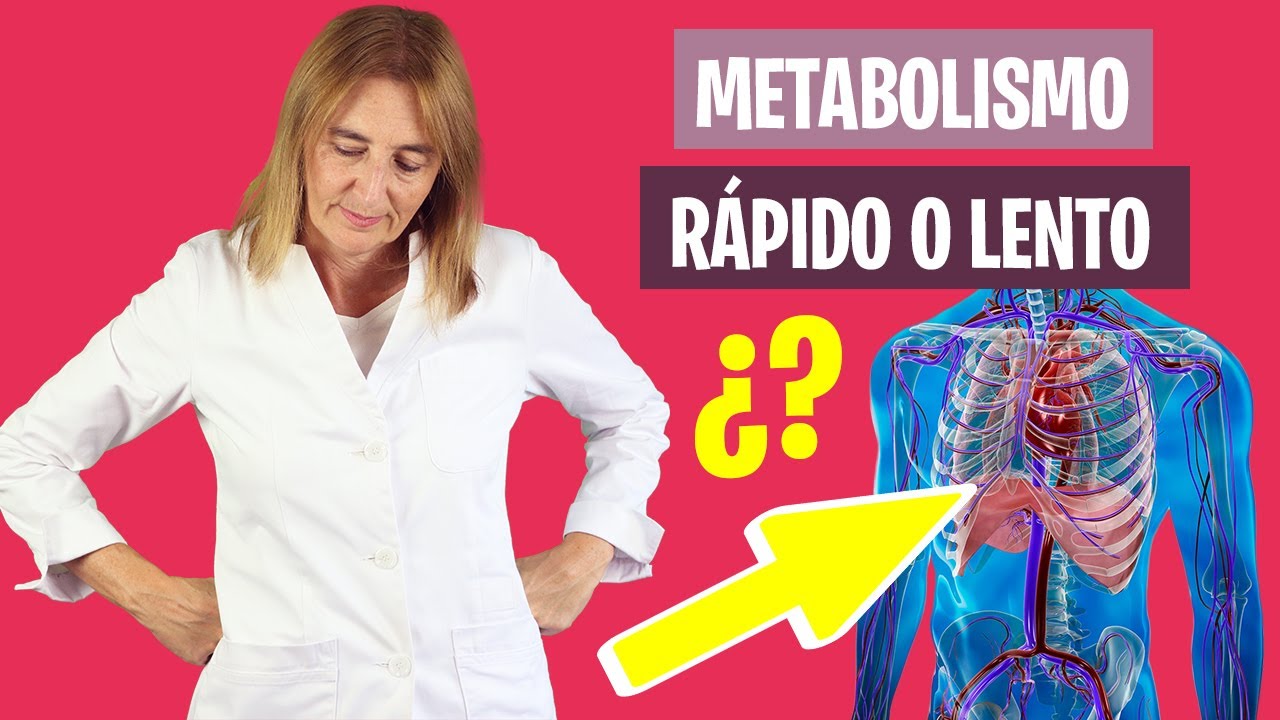 Causas de un metabolismo lento y cómo acelerarlo 🔥