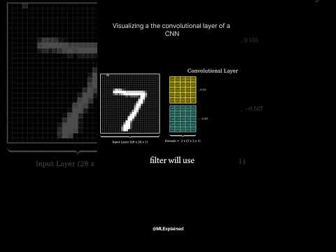 Visualization of cnn  #ai #machinelearning #deeplearning