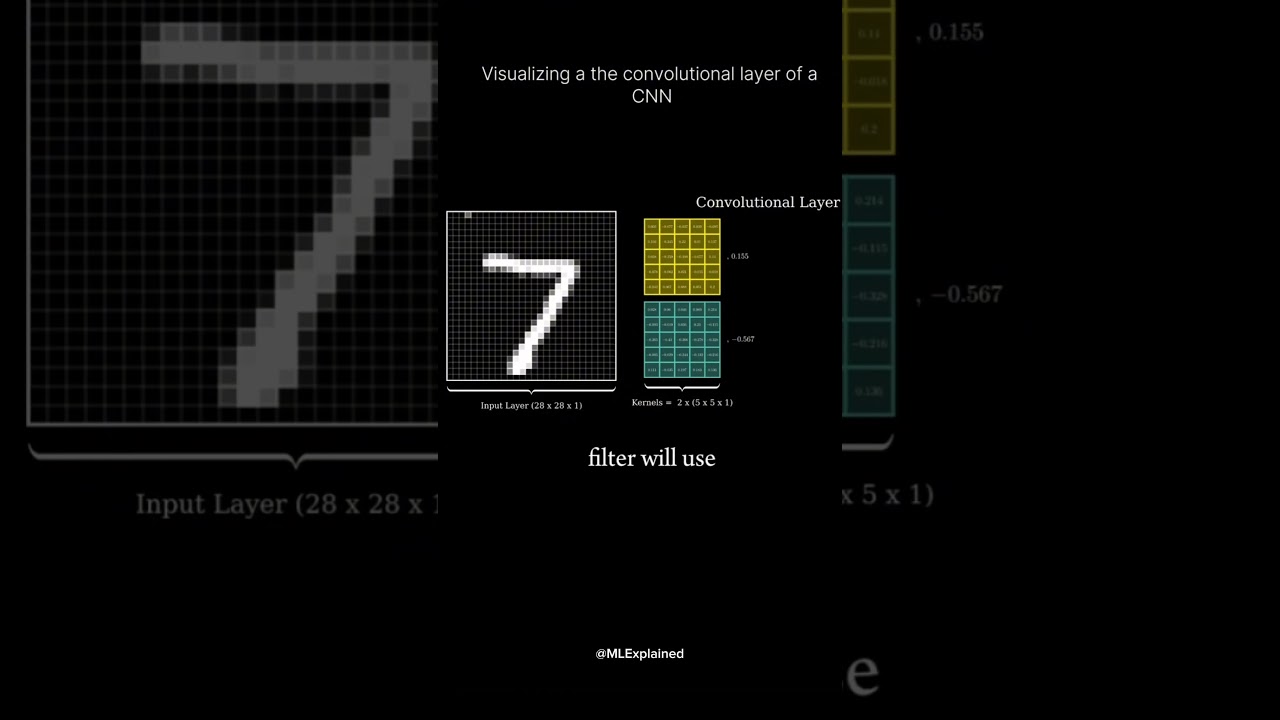 Visualization Techniques for Convolutional Neural Networks (CNNs)