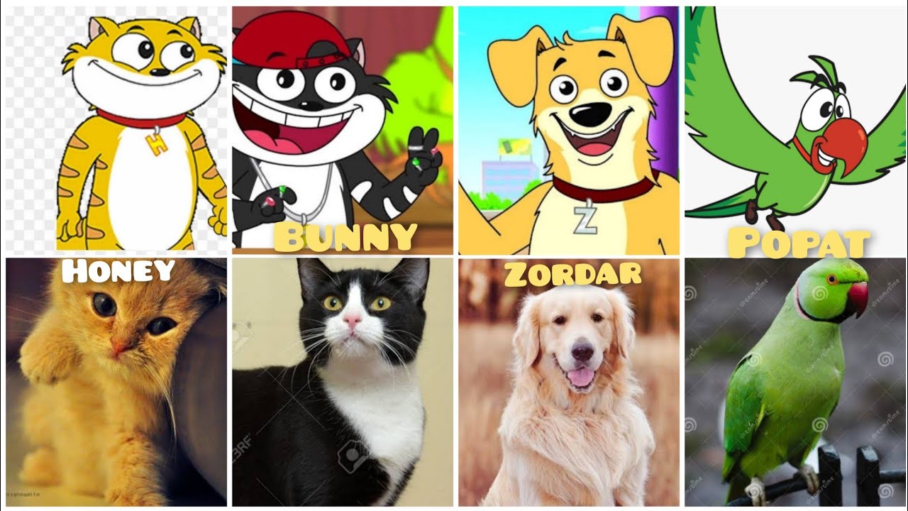 Honey Bunny Jholmaal Characters in Real Life😍