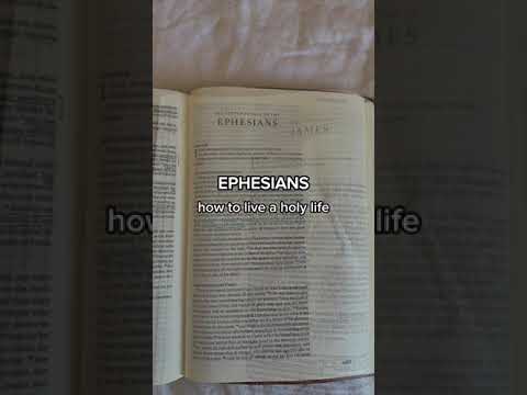 study guide for the Bible 🤍