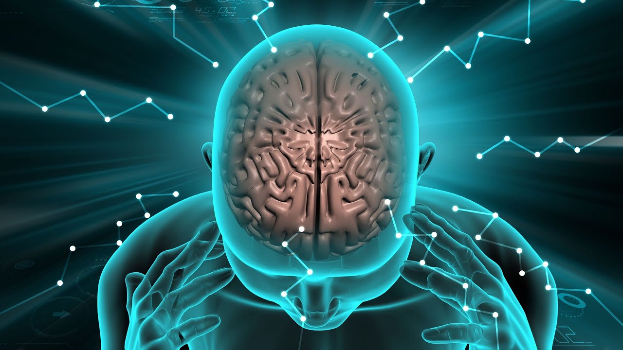 Ondes Alpha : Musique Relaxante et CrĂ©ative đ¶