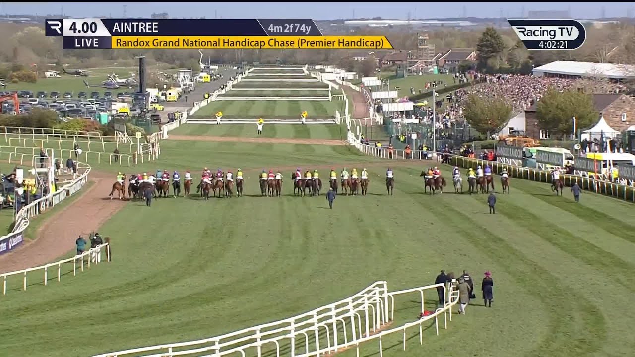 I Am Maximus REGAINS HIS CROWN in the GRAND NATIONAL