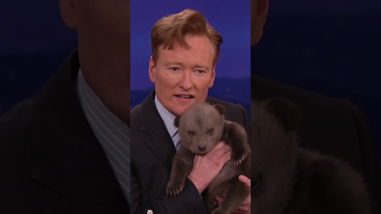 Animal Expert David Mizejewski Discusses Black Bears and Brown Cubs