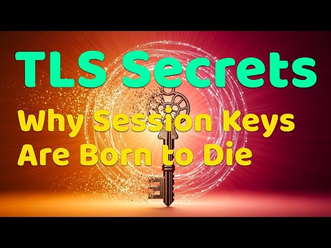 TLS Secrets: Why Session Keys Are Born to Die @AyushKaari