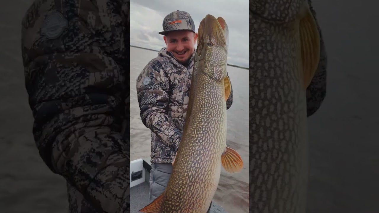 Удивительная трофейная щука: рыбалка с профессионалом 🎣