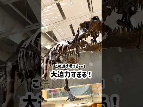 こんな遊び場見たことない！！ #shorts #short #国立科学博物館 #子連れスポット