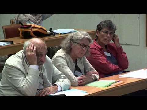 Salma Kuhlmann: Real closed fields and models of Peano arithmetic