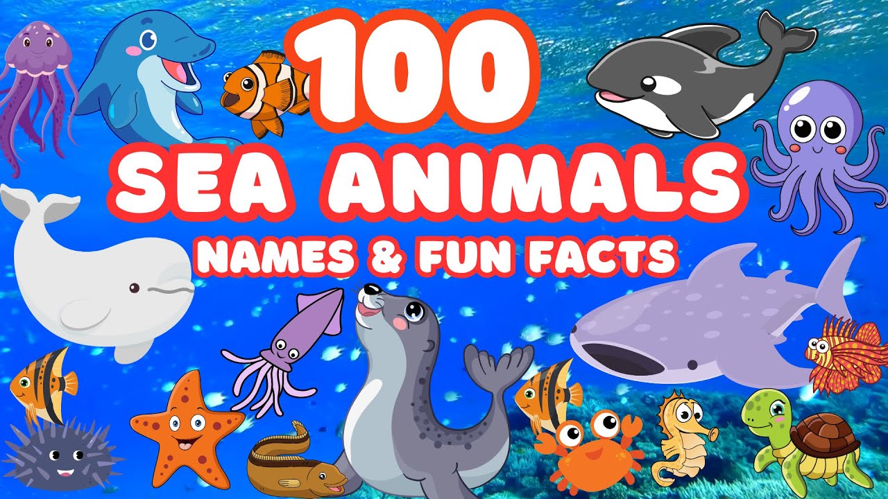100 Cool Sea Animals for Kids 🐠