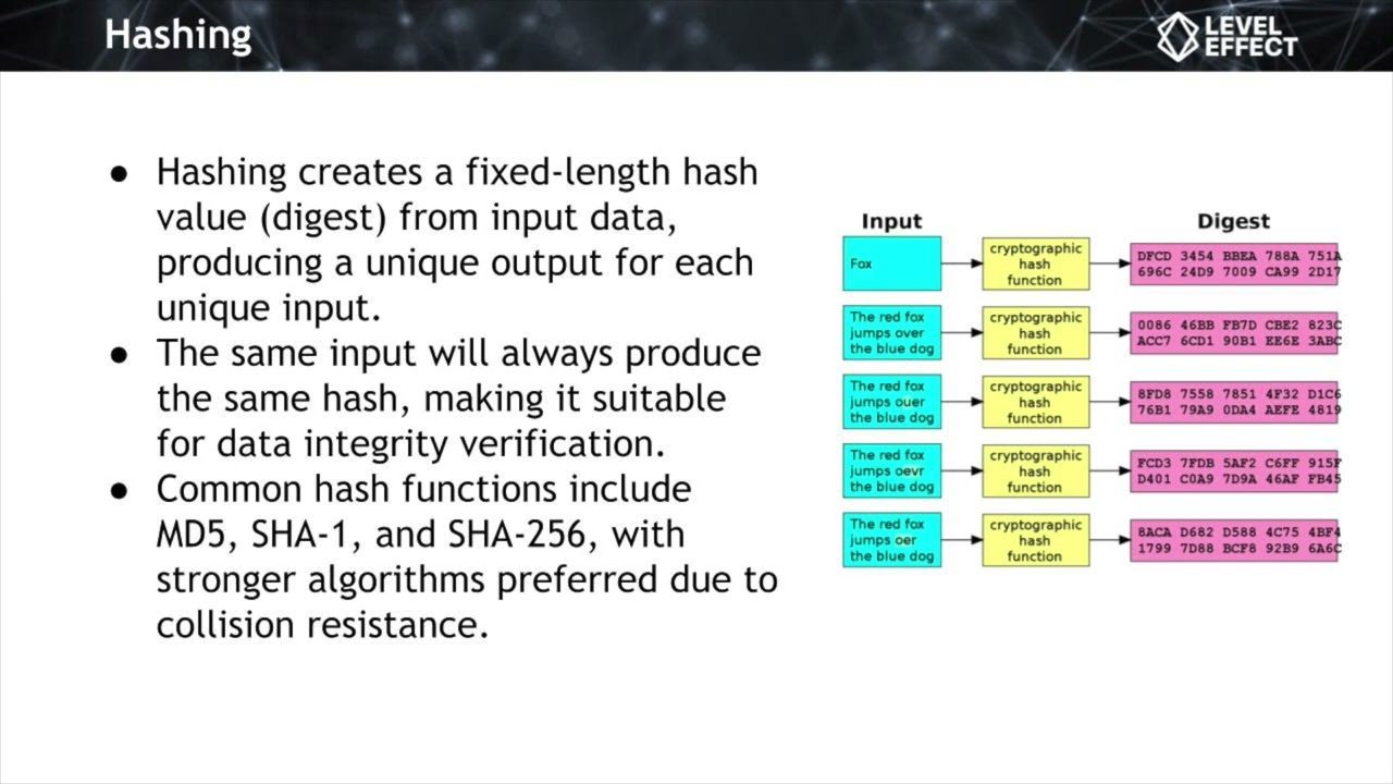 Cryptography 101: Hashing, Encoding & Encryption Explained 🔐