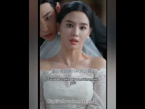 Captive love from the mob boss