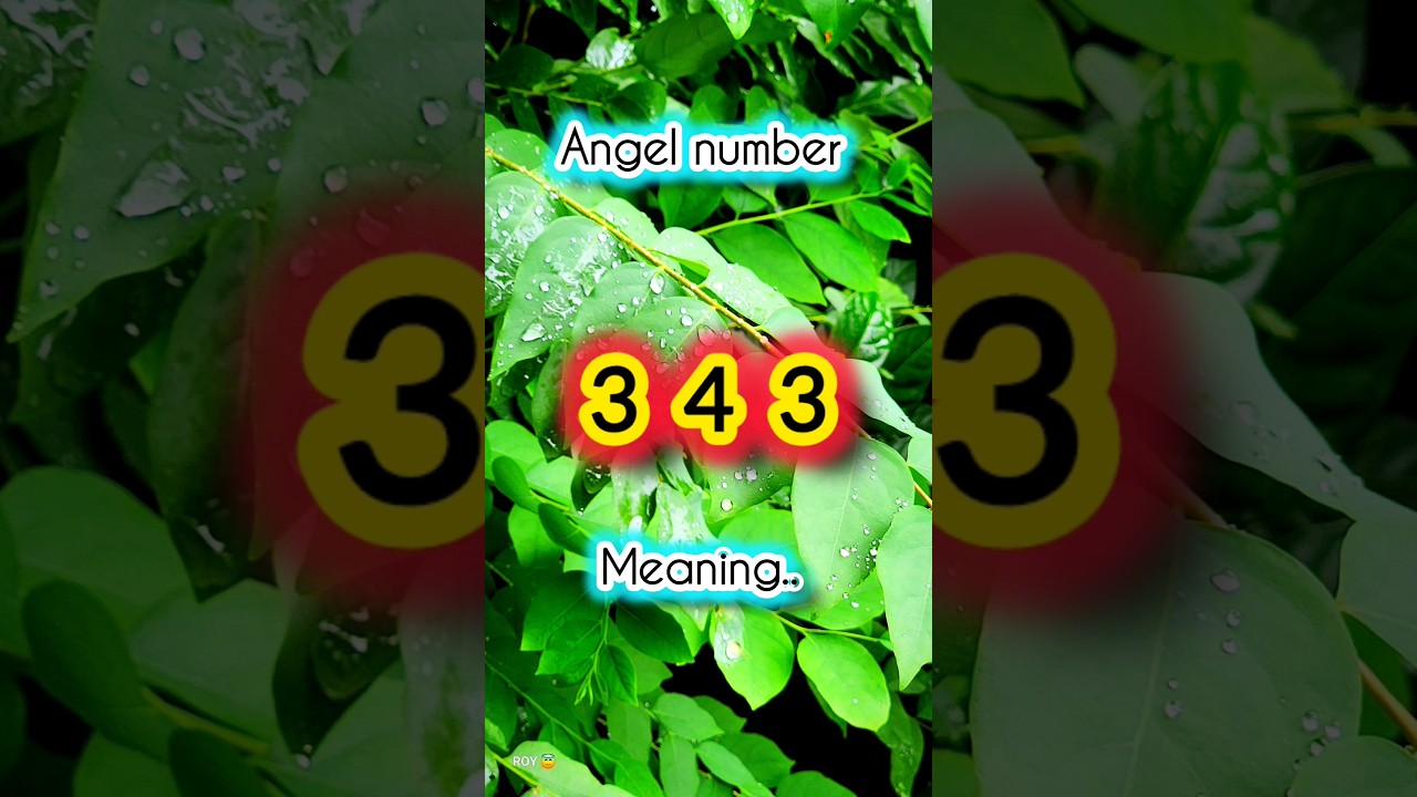 Angel Number 343 Meaning & Significance ✨