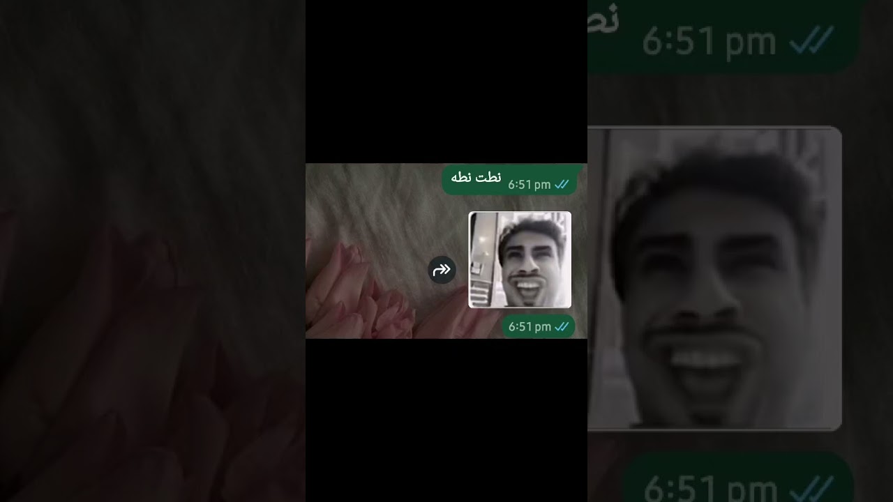 ألف أرنب يلعب ويجري بسعادة 🐇