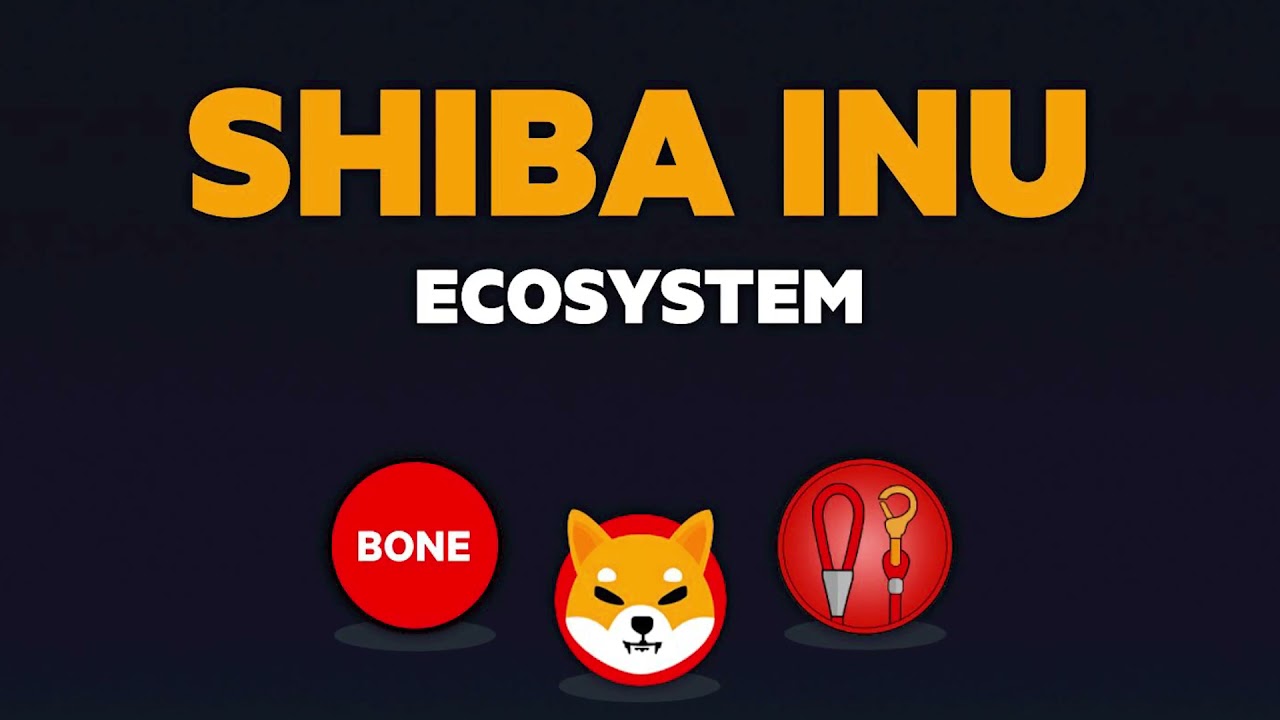 All about shiba inu crypto currency by apna point shubham