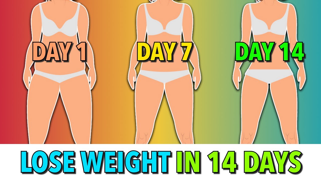 14-Day Home Weight Loss Workout πͺ