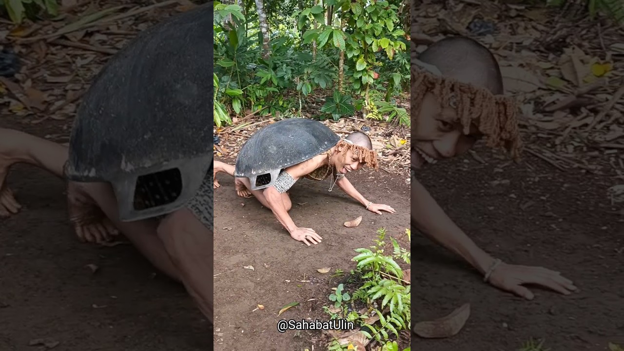 Kura-Kura Raksasa Marah Saat Anak Dihilangkan 🐢