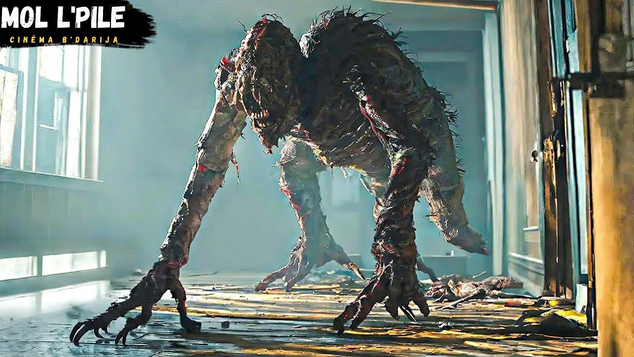 خروج بعد غروب الشمس يهدد الحياة ☀️