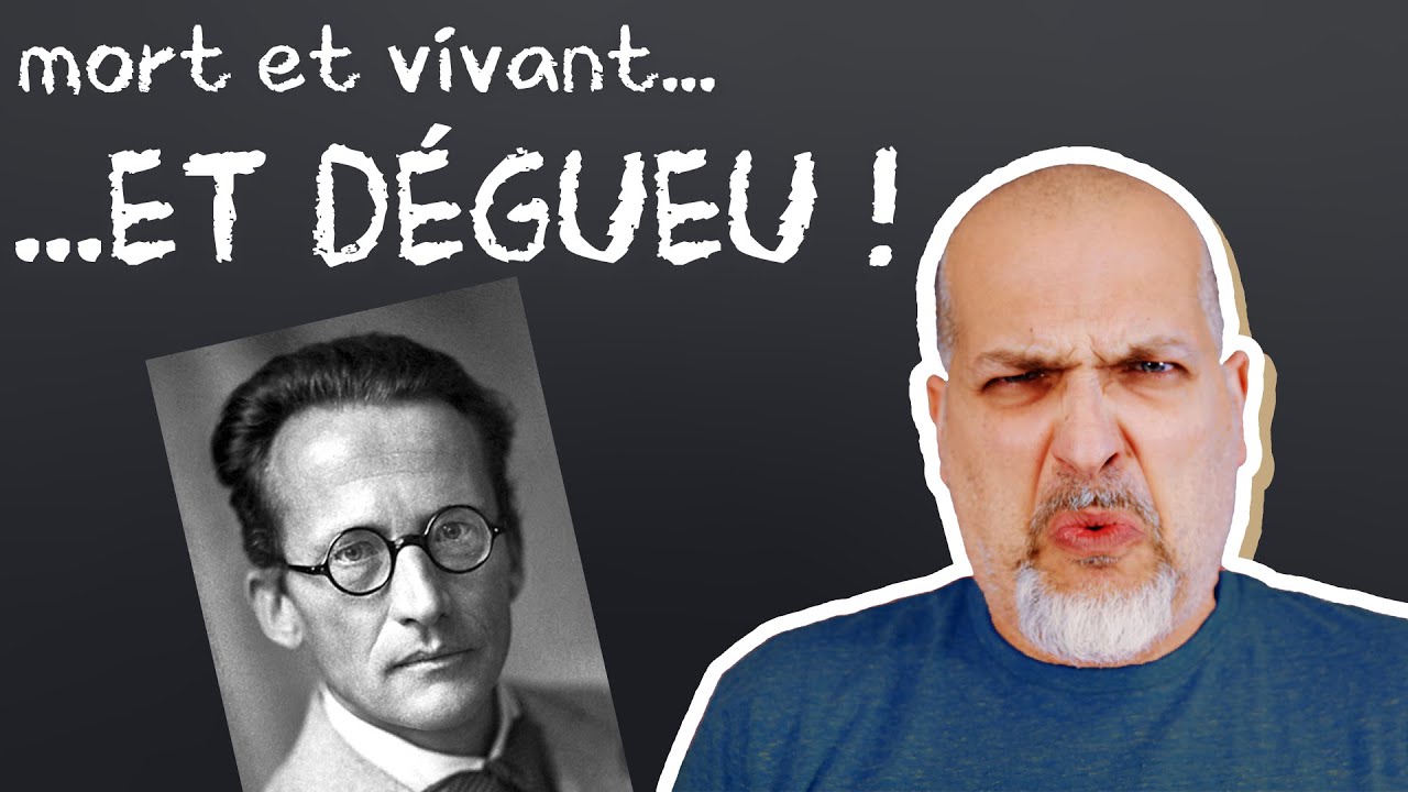 Schrödinger et la science quantique 🧪 avec Novium