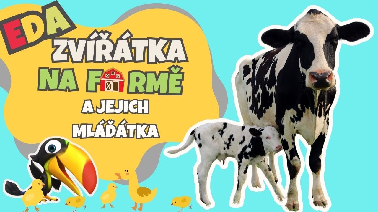 Zvířátka na farmě a jejich mláďata 🐤🐮
