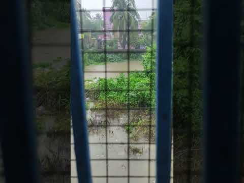 # koto bristir jol jomeche # nichu mathe # YouTube short #shortsvideo#shortsfeed