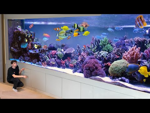 $1,000,499,000 HOME AQUARIUM TOUR! - Inside Dubai's *BILLIONAIRE* Palm Island House!