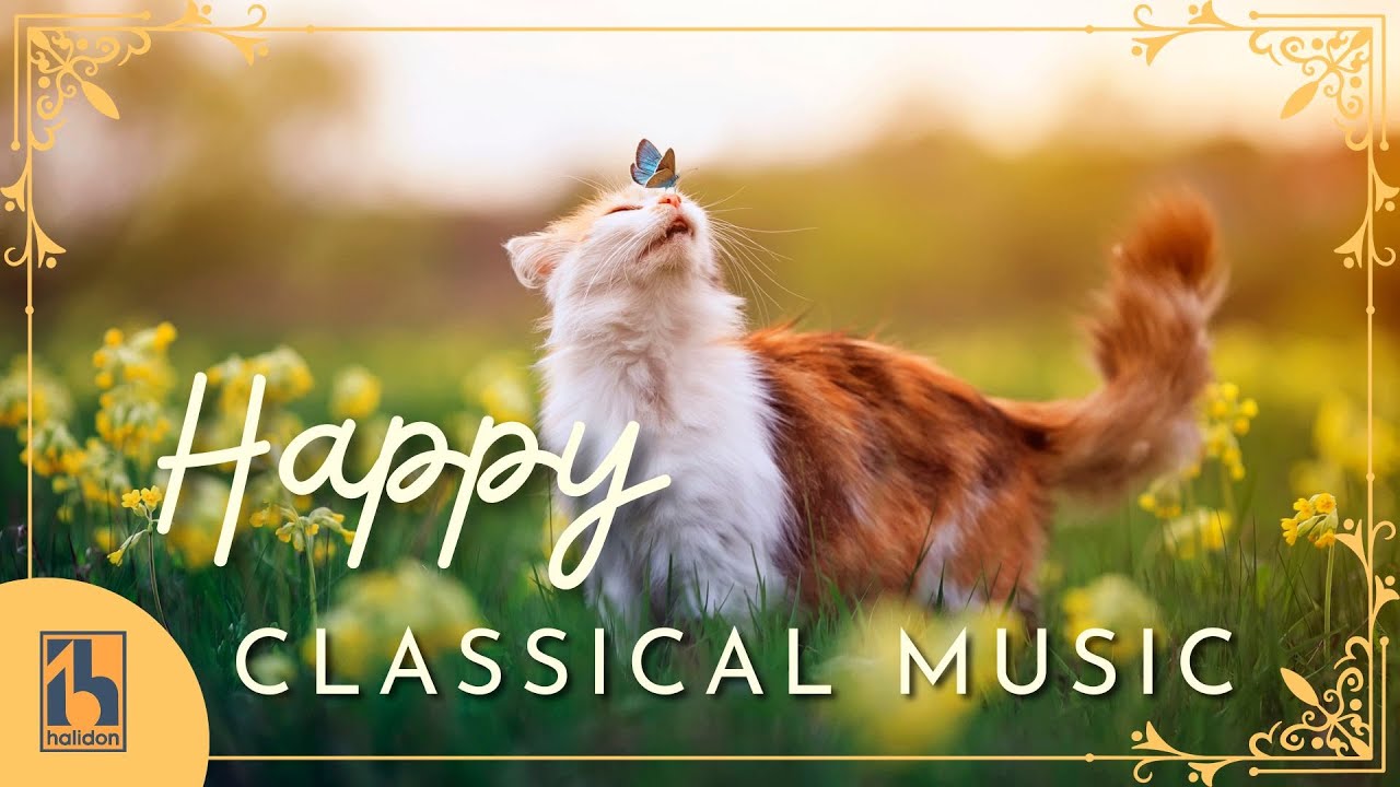 Relax and Unwind with Beautiful Classical Music 🎶