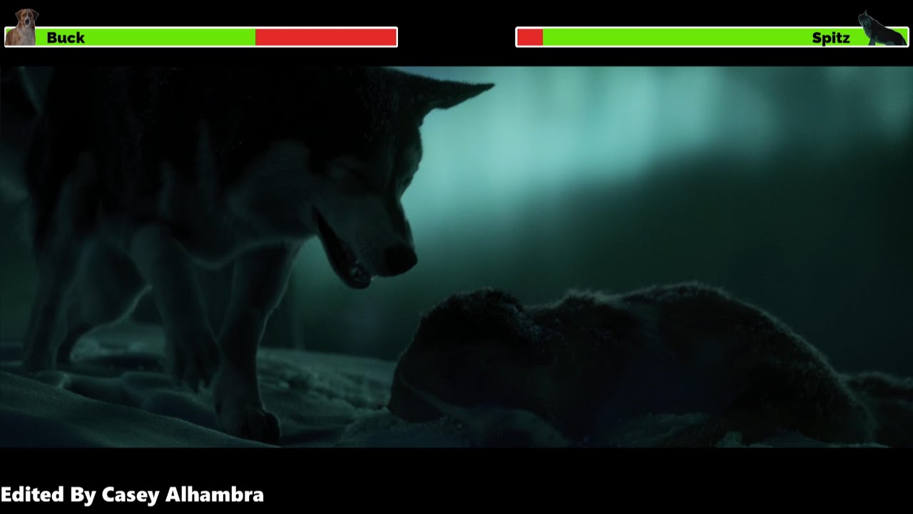 Buck vs. Spitz with Healthbars 🐾