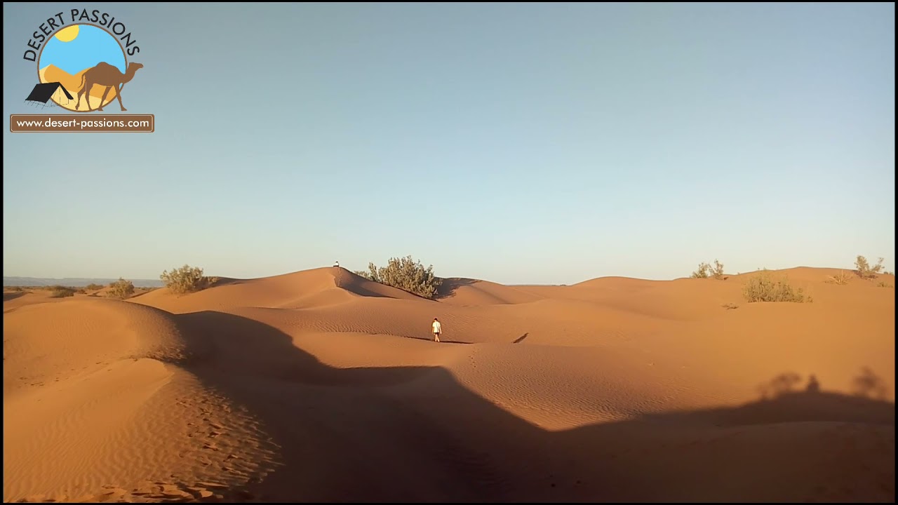 trek au désert Marocain à Mhamid El ghizlane