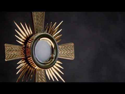 Hora intermedia nona Jueves de la 2a semana del salterio