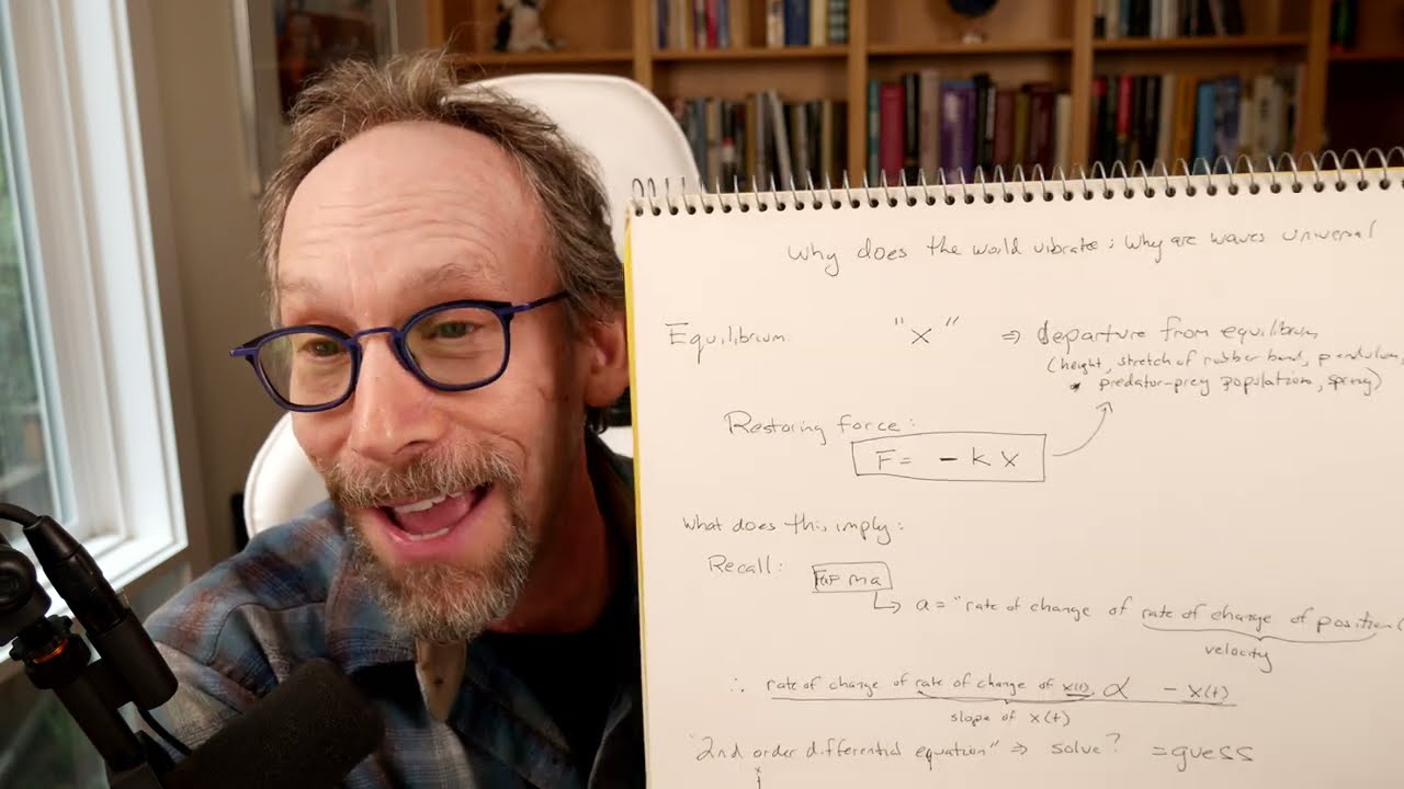 Why the World Vibrates: Physics & Nature 🌍