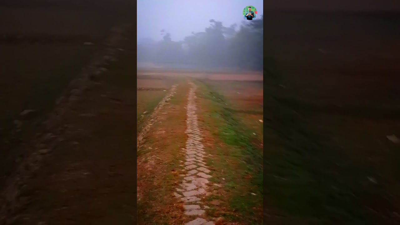 🔥 Watch Habibi Official's Viral Short Video! | Must See for Everyone