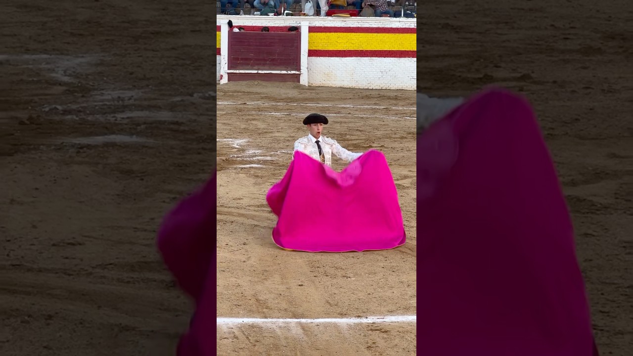 ¡Segundos de Pánico en la Corrida de Toros! 😱