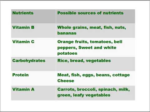 GED Science In General Study|Practice Test For Being Smarter