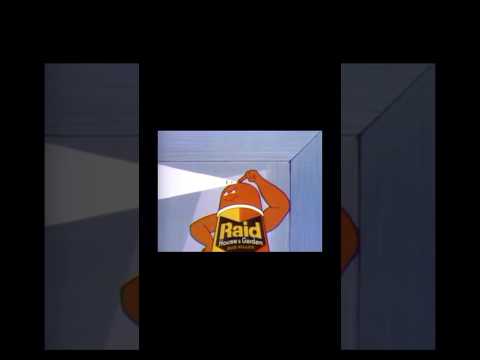Old Raid Commercial (1960’s) #old #raid #oldtv