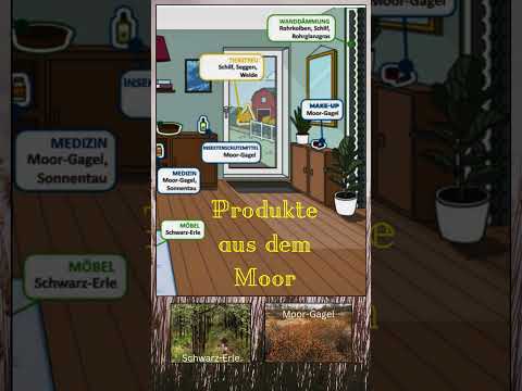 noch 7 Tage bis zur BTW25