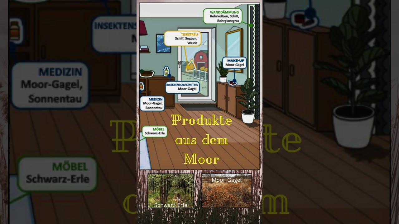 Nur noch 7 Tage bis zur BTW25 – Grüne für Naturschutz 🌿