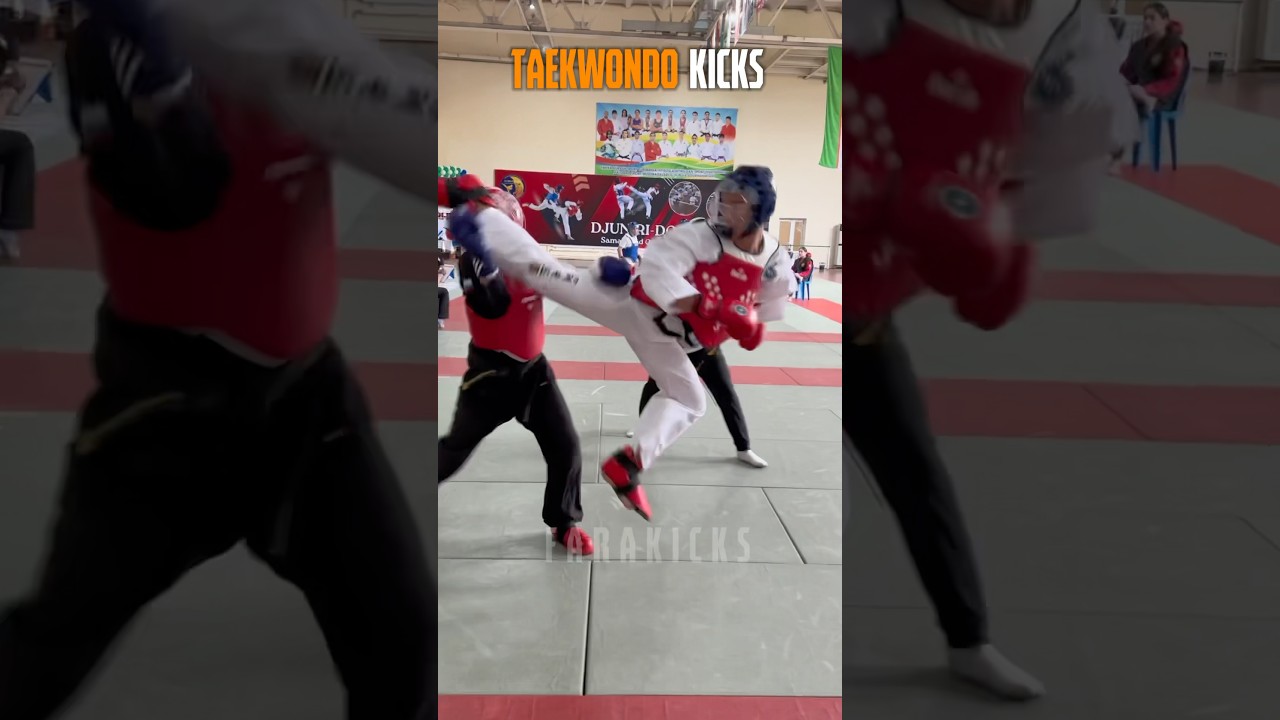 Unforgettable Highlights from the Taekwondo Championships 🥋