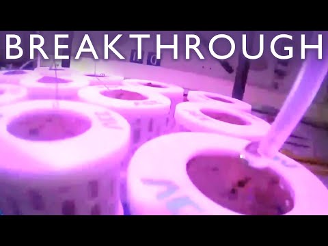 How Did We Underestimate China's Tiangong This Badly?