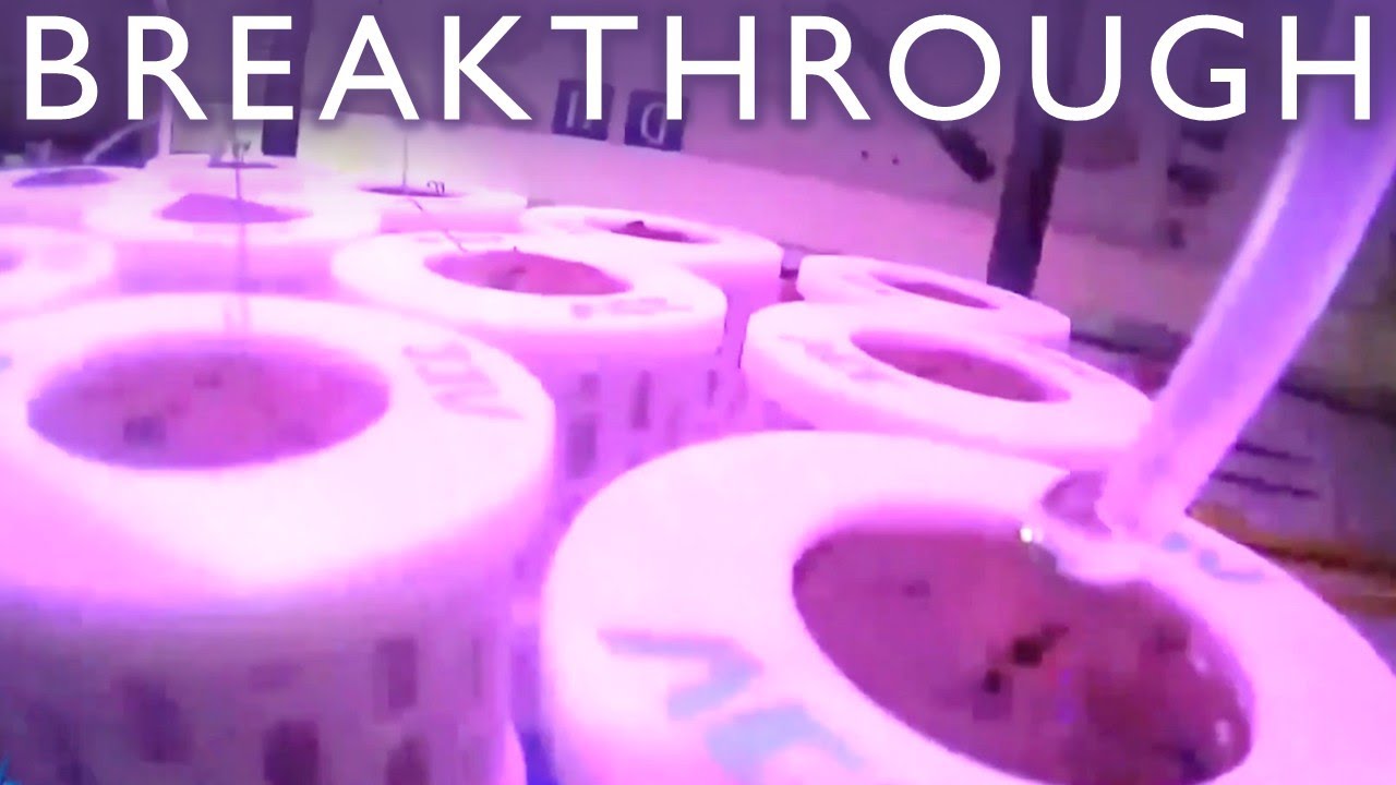 The Shocking Truth Behind China's Tiangong Space Station 🚀