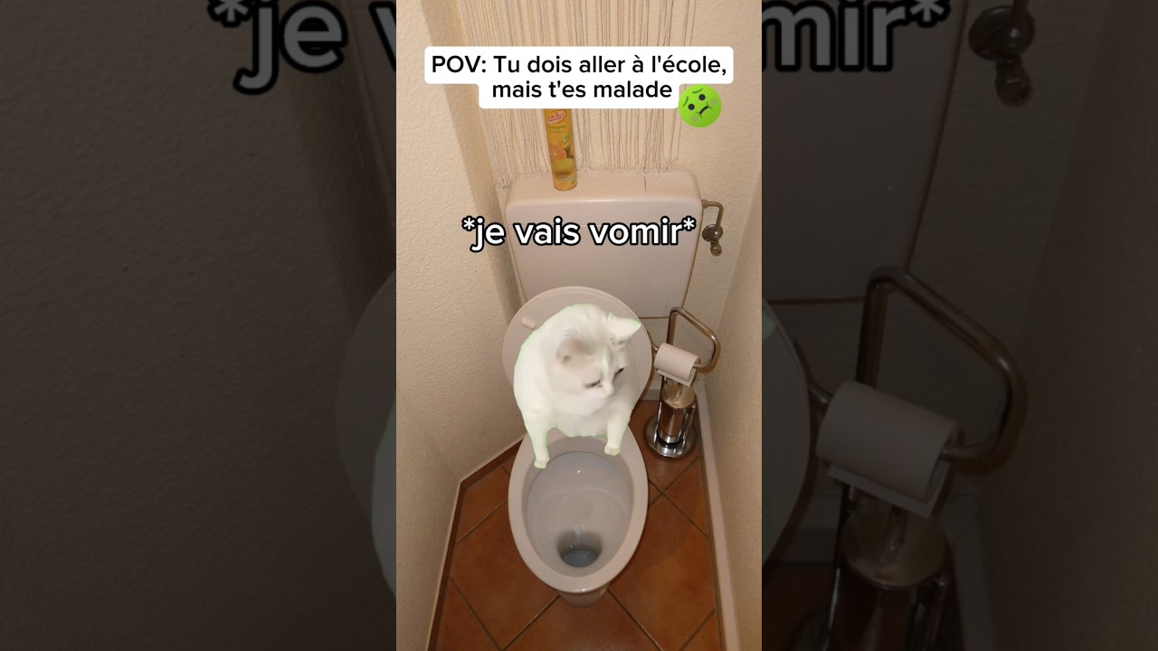 POV : Malade pour l'école 🤒