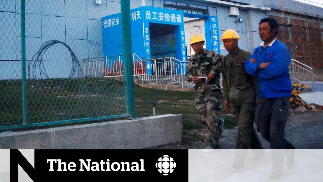 Concerns Rise Over China's Treatment of Uighurs 🌏