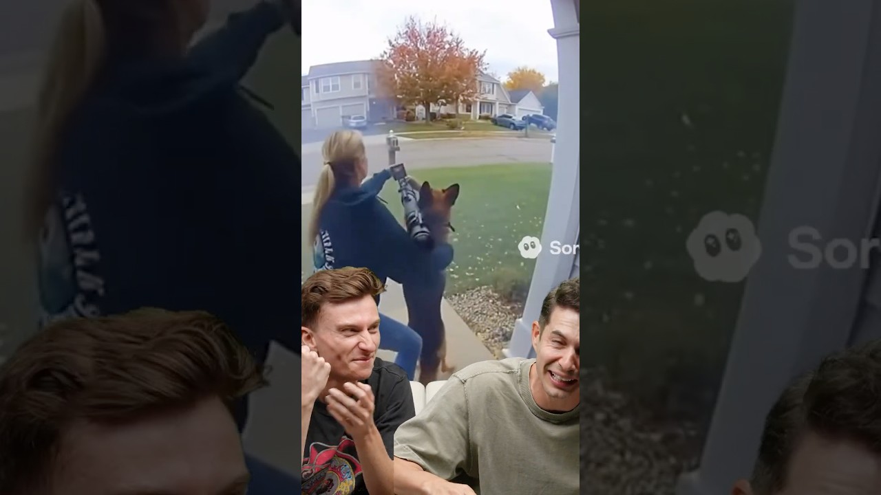 Sora AI Videos Overview